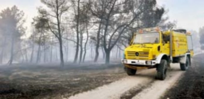 Crece el número de incendios aunque se reduce la superficie afectada Imagen de uno de los incendios forestales registrados este pasado verano en Mozoncillo en el mes de julio. / Kamarero