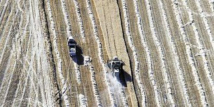 La crisis deja al campo sin 4.558 agricultores y ganaderos en dos años Dos agricultores cosechan en Tierra de Campos. / Ical