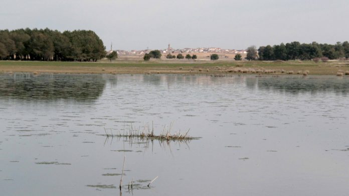 Laguna de Sotillos Bajeros. / E.A. Laguna de Sotillos Bajeros. / E.A.