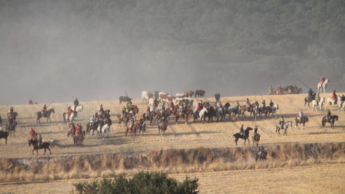 1.caballistas WEB 1.caballistas WEB