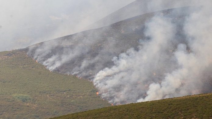 7_1-fuego Estos días hay máximo riesgo de que se produzcan incendios en terrenos forestal. / el adelantado