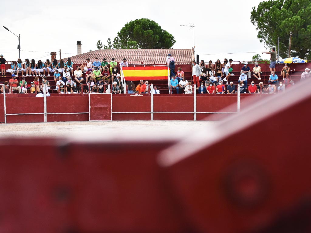 <h3  class='enlacePalabraNoticia'>Ayll�n</h3> recupera la actividad taurina en el nordeste despu�s de dos a�os