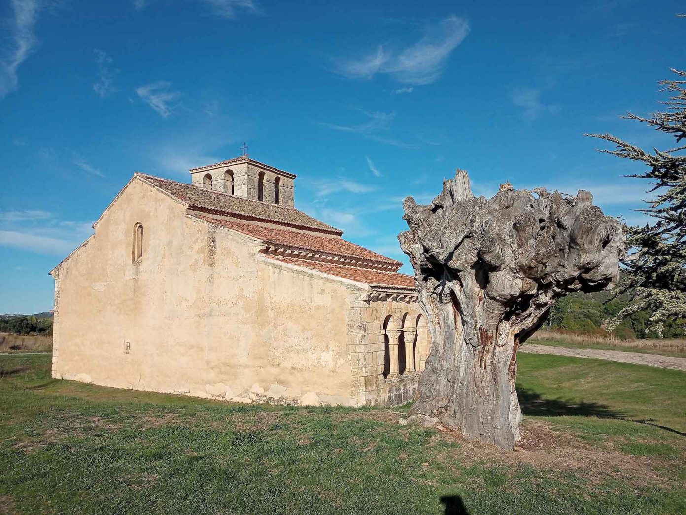 �rboles representativos en la provincia de <h3 class='enlacePalabraNoticia'>Segovia</h3>