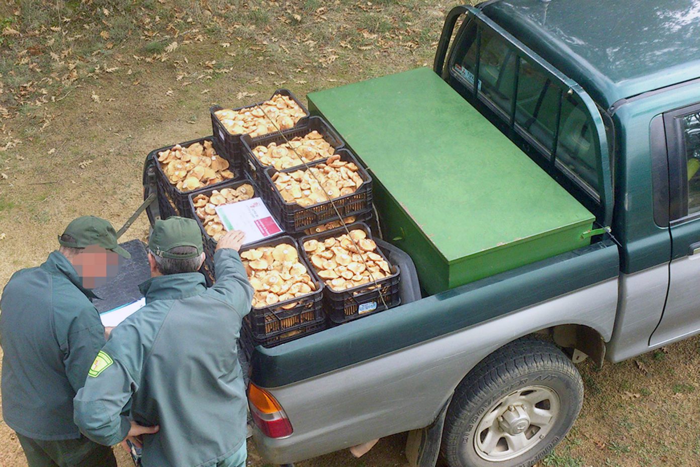 Vigilantes jurados para el campo