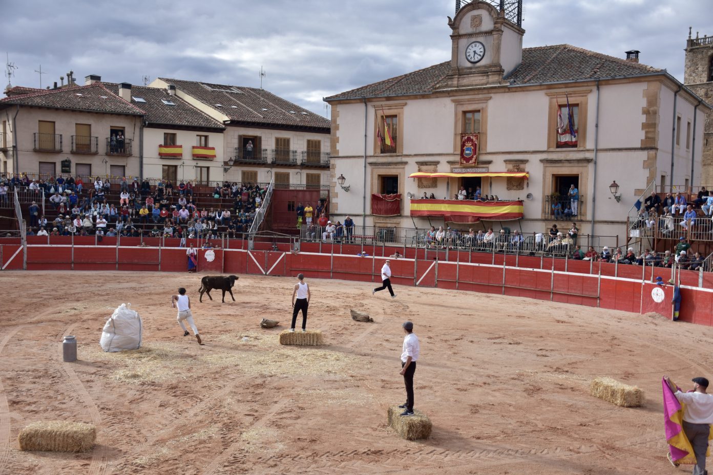 Disfraces, toreo y revolcones en la tradicional becerrada de pe�as de <h3 class='enlacePalabraNoticia'>Riaza</h3>