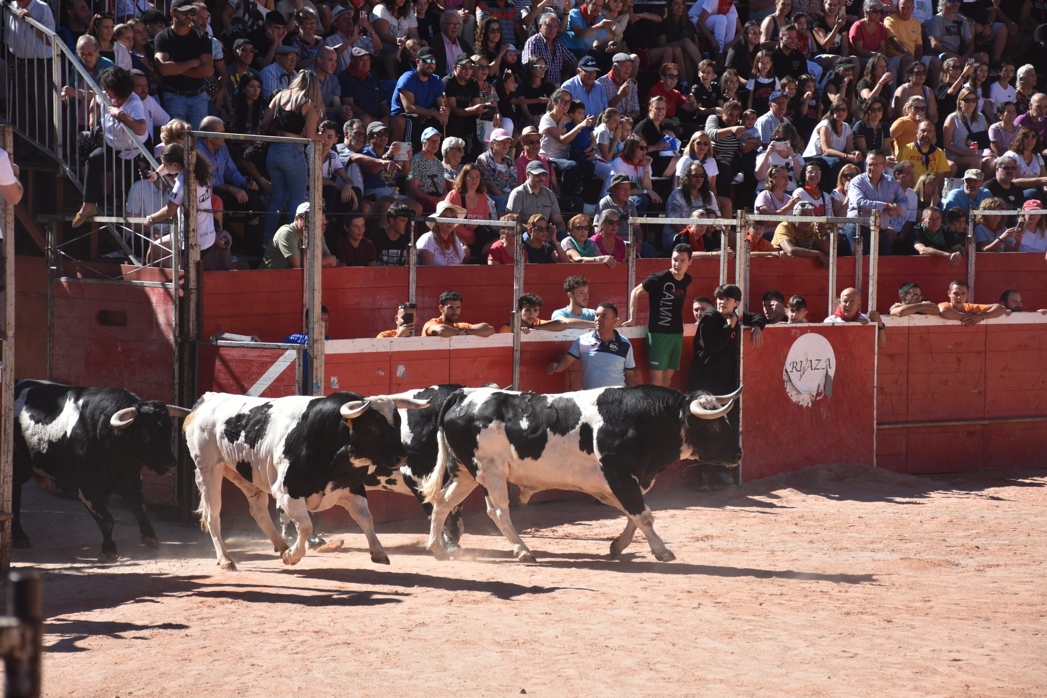 Los �patasblancas� de Barcial protagonizan un primer encierro en <h3 class='enlacePalabraNoticia'>Riaza</h3> con riesgo y emoci�n