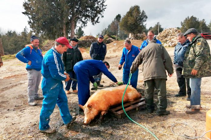 La tradici�n de las matanzas domiciliarias, en pleno declive