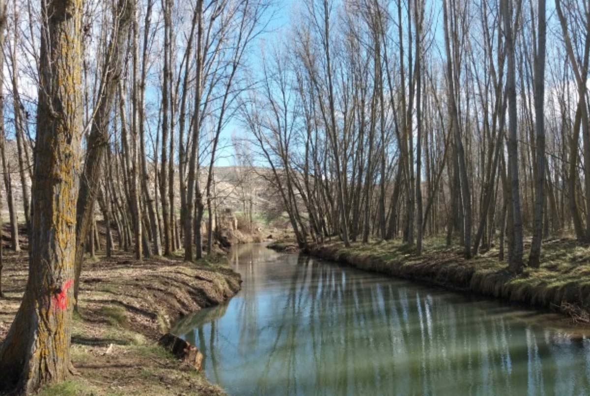 Riesgo importante de crecida en el r�o <h3 class='enlacePalabraNoticia'>Riaza</h3> a su paso por Languilla