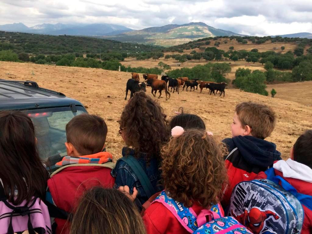 Un viaje a la obra de Pablo Picasso y al legado de <h3 class='enlacePalabraNoticia'>V�ctor Barrio</h3>