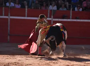 Derechazo de Damián Castaño, en la primera corrida de Riaza con los toros de la ganadería salmantina de Barcial. / A.M.