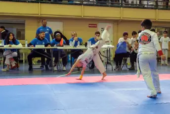 Campeonato de España de capoeira