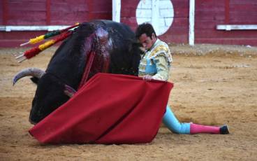 El diestro salmantino Alejandro Marcos, muy torero de rodillas con el toro ‘Destilado’ en Cantalejo. / A.M.