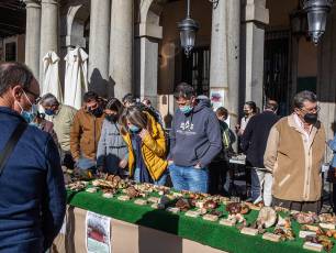 Fiestas de San Frutos en Segovia. / NEREA LLORENTE