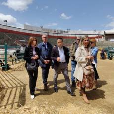 Feria de ganado de El Espinar. / E.A.