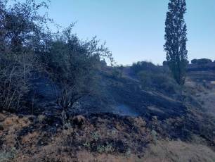 Incendio de Honrubia de la Cuesta. / PATRICIA MARTÍN - ICAL
