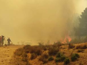Nube de humo en el incendio de Navafría. / NEREA LLORENTE
