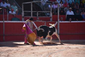 Alberto Lamelas, con el primer toro de Barcial en Riaza. / A.M.