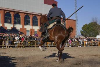 Fotogalería XXXVII Feria del Caballo en Fuentepelayo