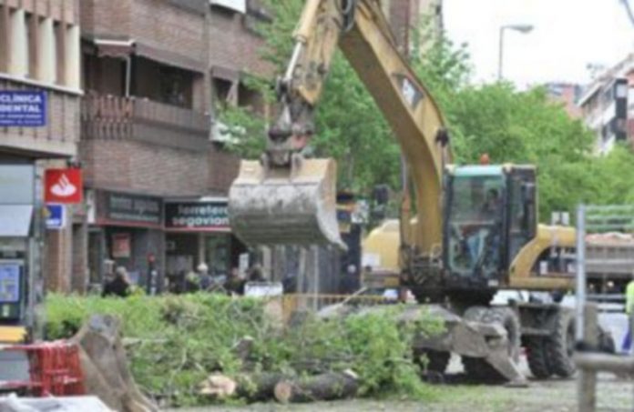 Un 80% de los segovianos considera innecesaria la tala de árboles en la zona Las primeras talas de arbolado público se realizaron el pasado 14 de abril en la zona de José Zorrilla
