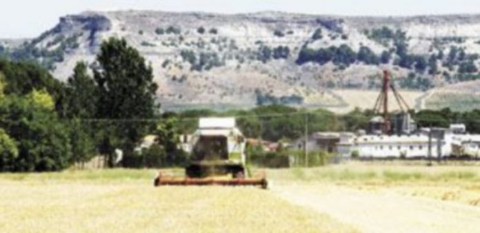 Cerca de 66.000 profesionales mantienen su vinculación con el sector agrario y ganadero Una cosechadora