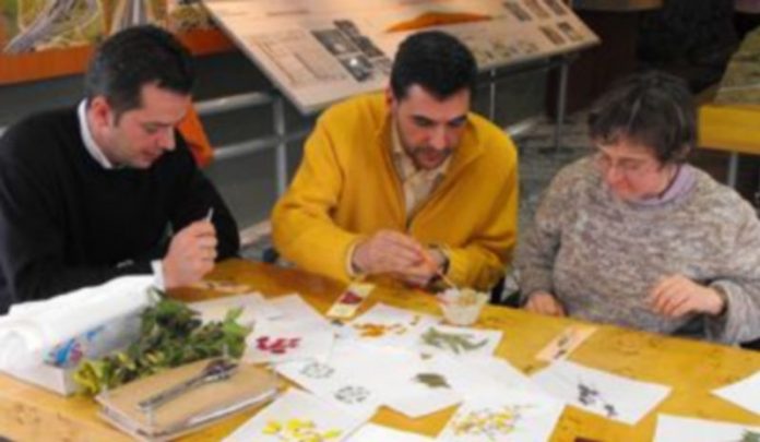 Los usuarios de Apadefim inician las actividades de Navidad Algunos voluntarios de Iberpistas participaron en el taller de marcapáginas y láminas de flor seca de Apadefim./Apadefim