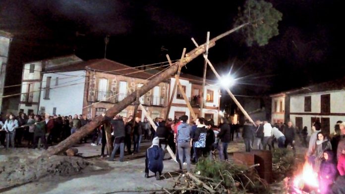 Vecinos levantando el mayo en Zarzuela del Pinar. / E.A.