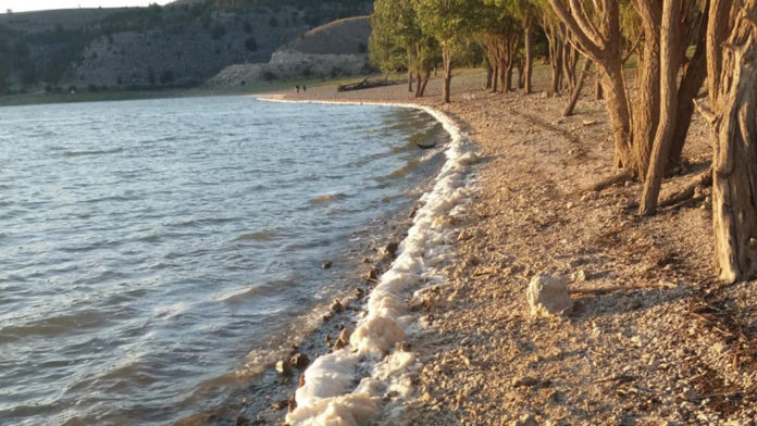 11_1 pantano espuma