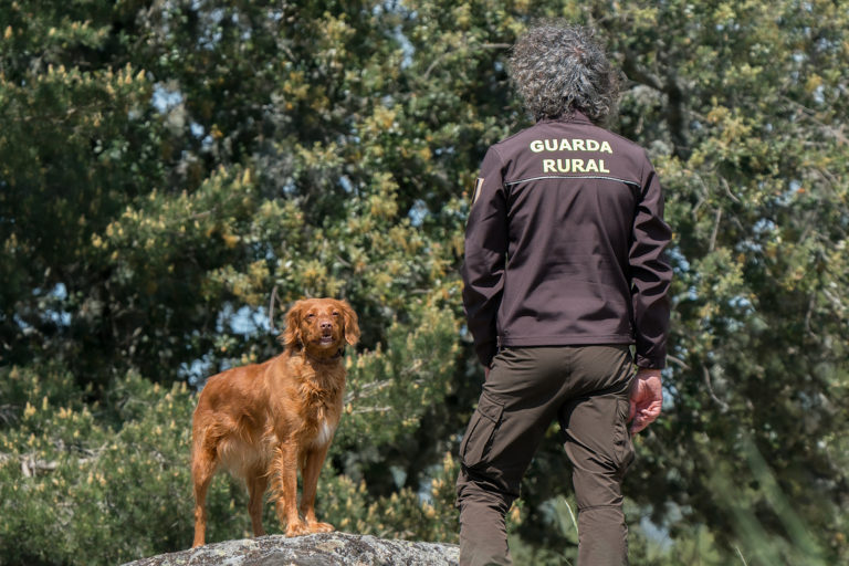El Colectivo Azálvaro de El Espinar contará con una patrulla canina