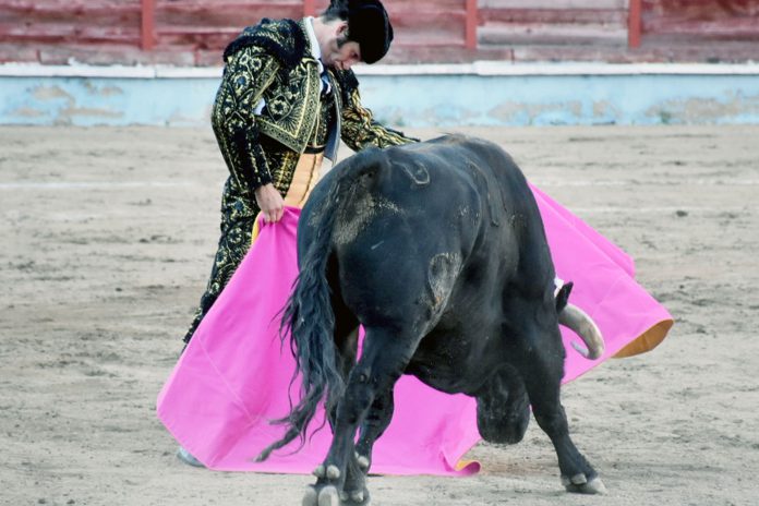 Morante de la Puebla borda el toreo a la verónica en Segovia. / A.M.