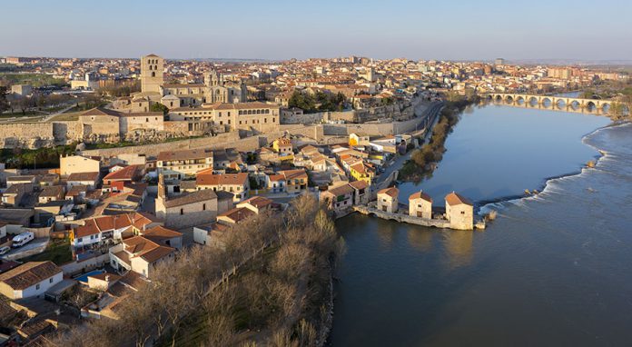 zamora zamora