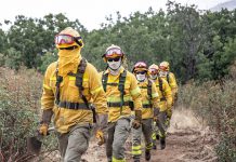 La cuadrilla de un reten de Segovia realiza labores preventivas en la lucha contra incendios