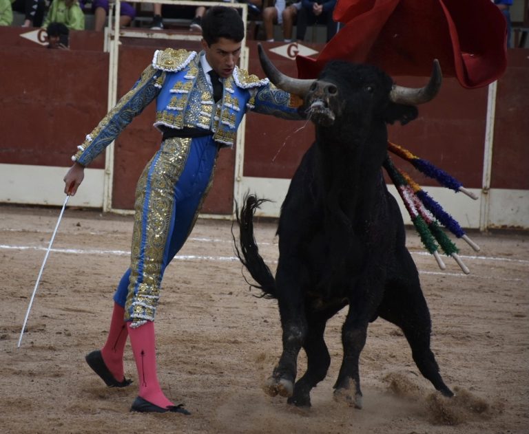 La disposición de Jorge Molina en la vuelta de los toros al nordeste