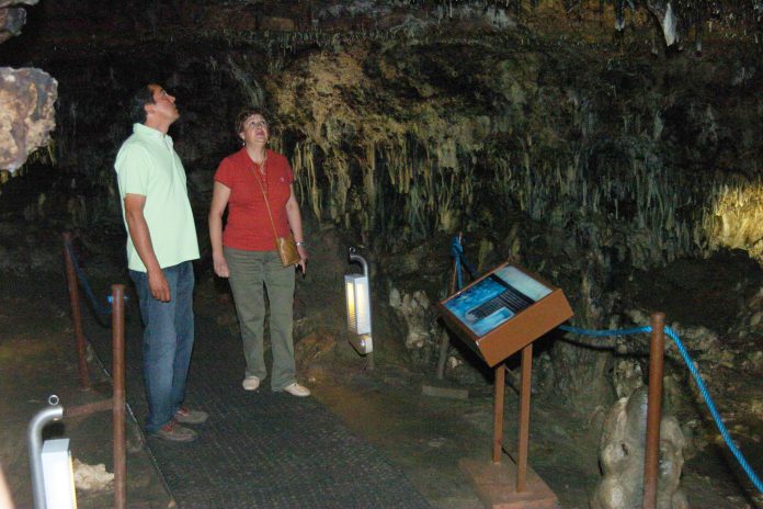 Pradena Cueva de los Enebralejos2121
