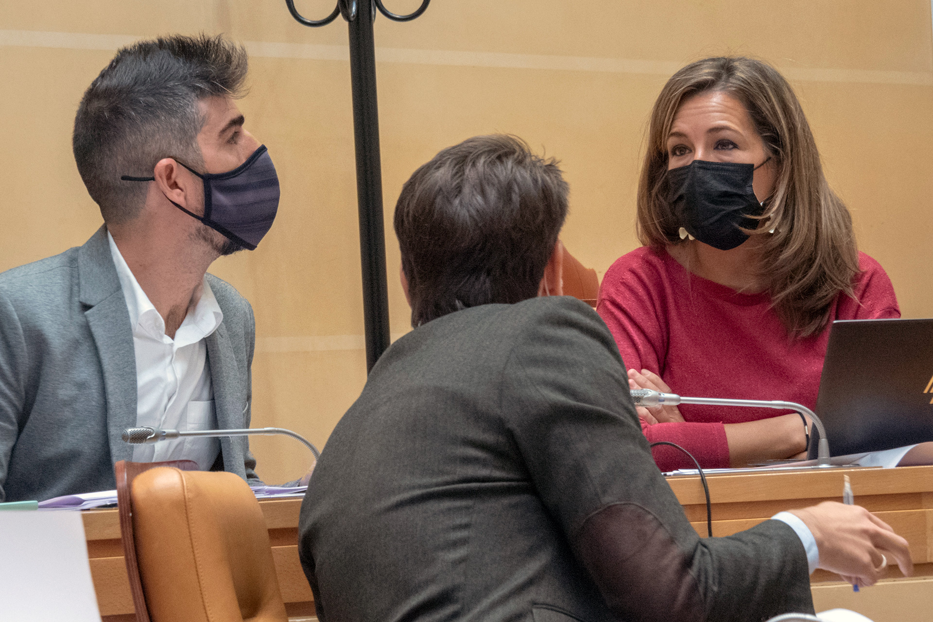 Peñalosa lamenta que Podemos vincule datos de suicidios con su Concejalía