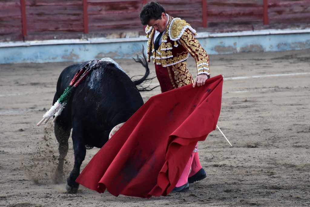 Natural del diestro sevillano Daniel Luque, al tercer toro de José Luis Pereda. / A.M.