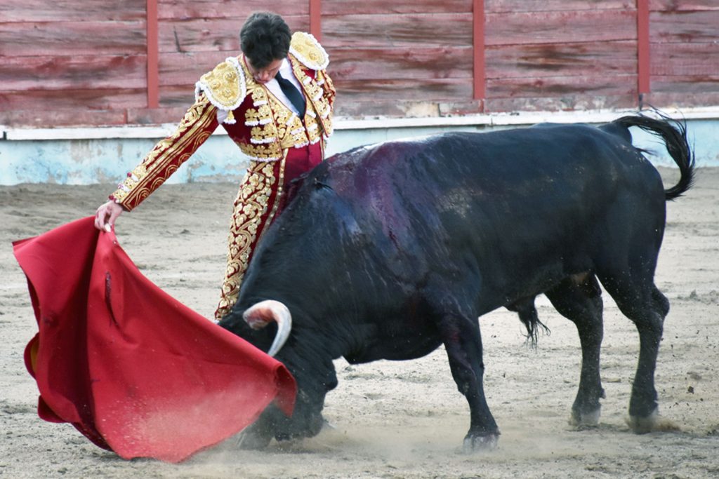 Daniel Luque someta al primer toro de la ganadería de José Luis Pereda. / A.M.