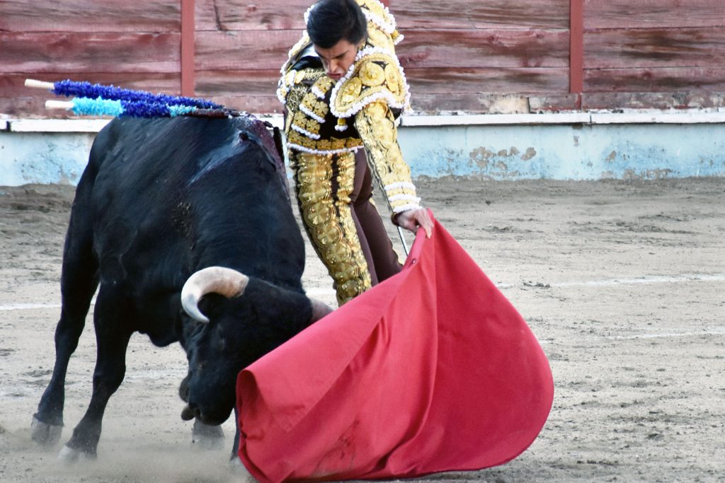 El torero de Mora Ángel Téllez torea al natural al primer astado de su lote. / A.M.