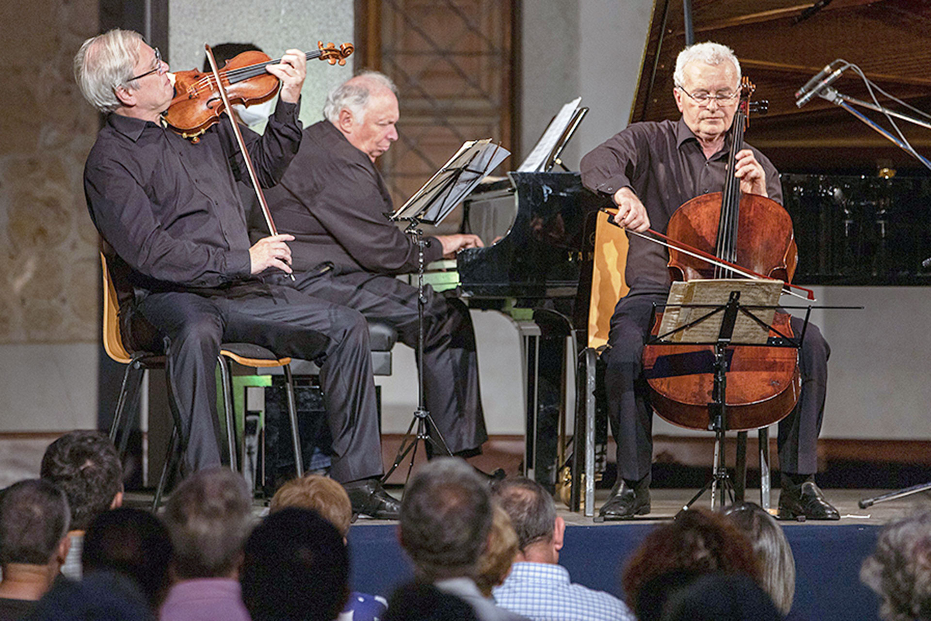 Tr o Guarneri Y Luca Chiantore Deleitan En El MUSEG