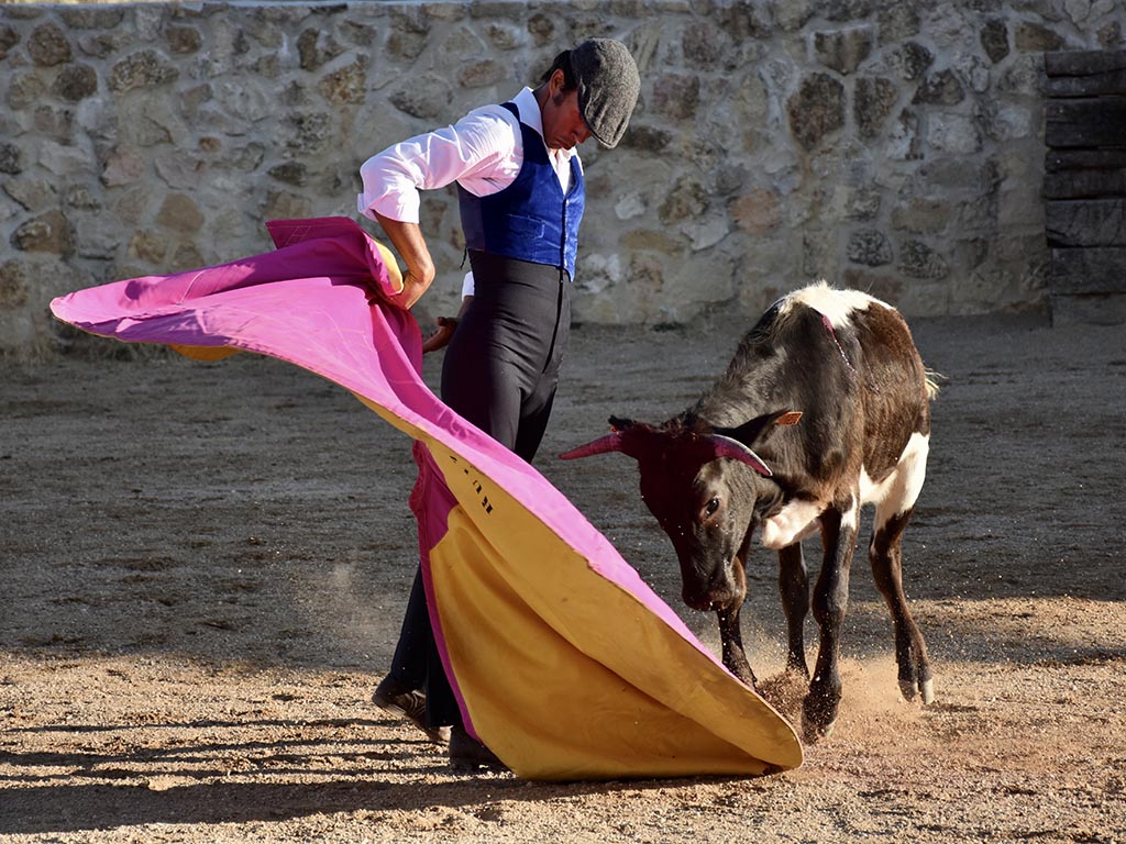 Larga del torero gaditano, afincado en Segovia, José Ruiz Muñoz. / A.M.