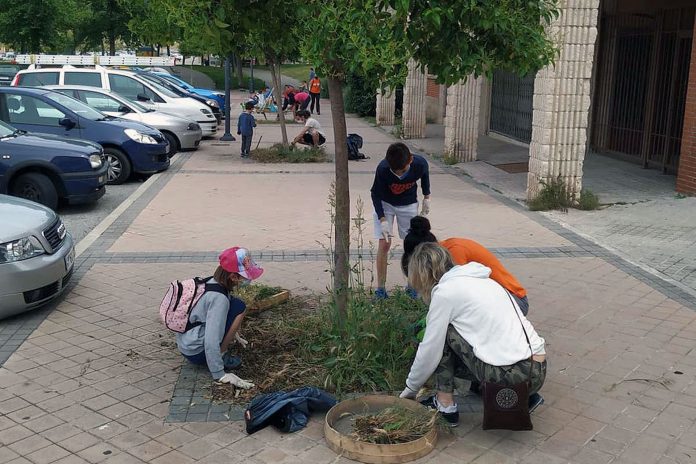 Las plantaciones de especies vegetales se realizan en el barrio de Nueva Segovia. / EL ADELANTADO