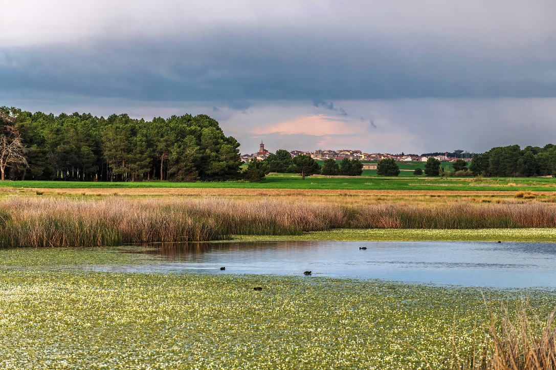 Ochavo de Cantalejo, pasado y presente