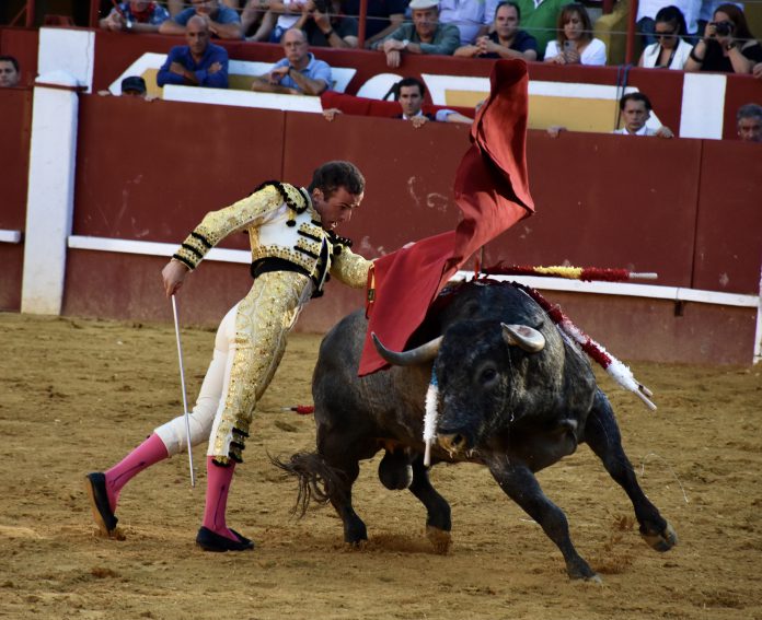 Damián Castaño, con el bravo tercer toro de Partido de Resina, en Cuéllar. / A.M.