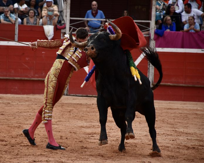 Pase de pecho del torero madrileño Fernando Adrián al segundo toro de la ganadería de Valdellán en Riaza. / A.M.