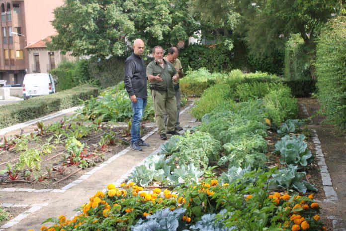 El Ayuntamiento de Segovia establece jardines hortícolas. / EL ADELANTADO