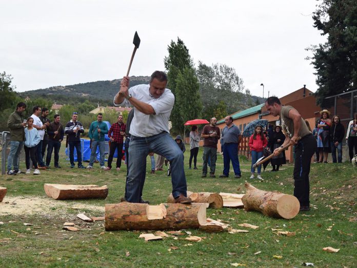 Exhibición de corta de troncos, en la fiesta de los gabarreros de Revenga.