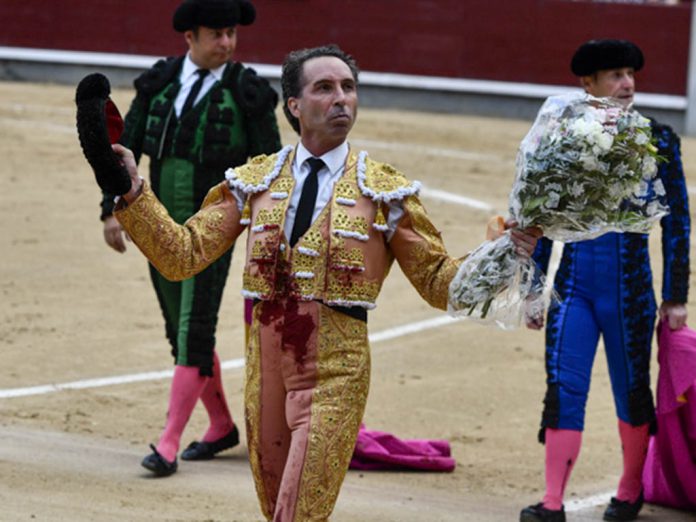El torero salmantino Álvaro de la Calle da una vuelta al ruedo en Las Ventas. / PLAZA 1