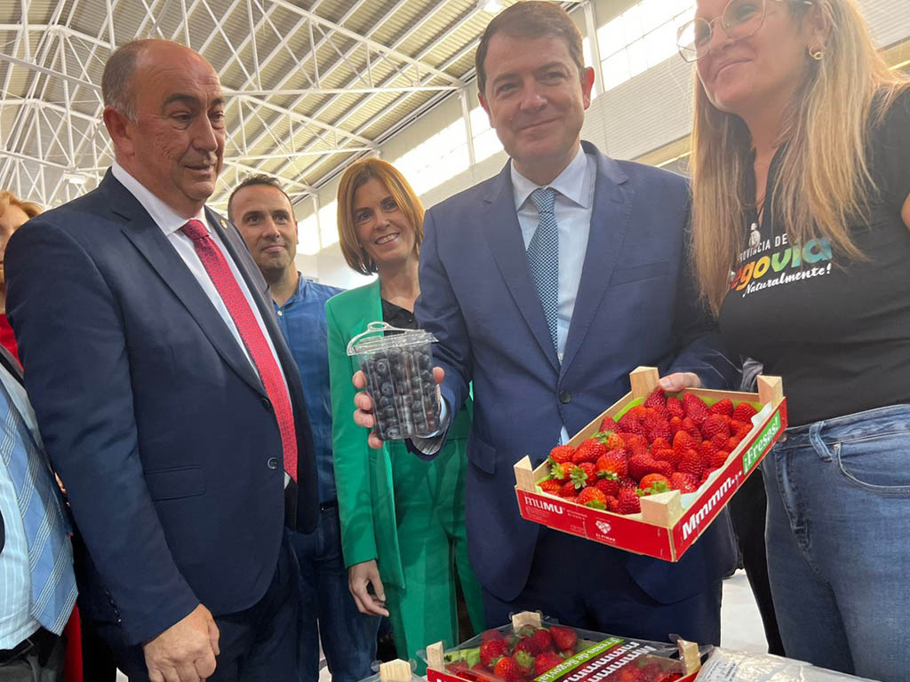 El escenario de cine de la Diputaci�n sorprende en Intur