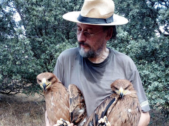 Javier Oria, con dos pollos de águila imperial rescatados de un nido caído.