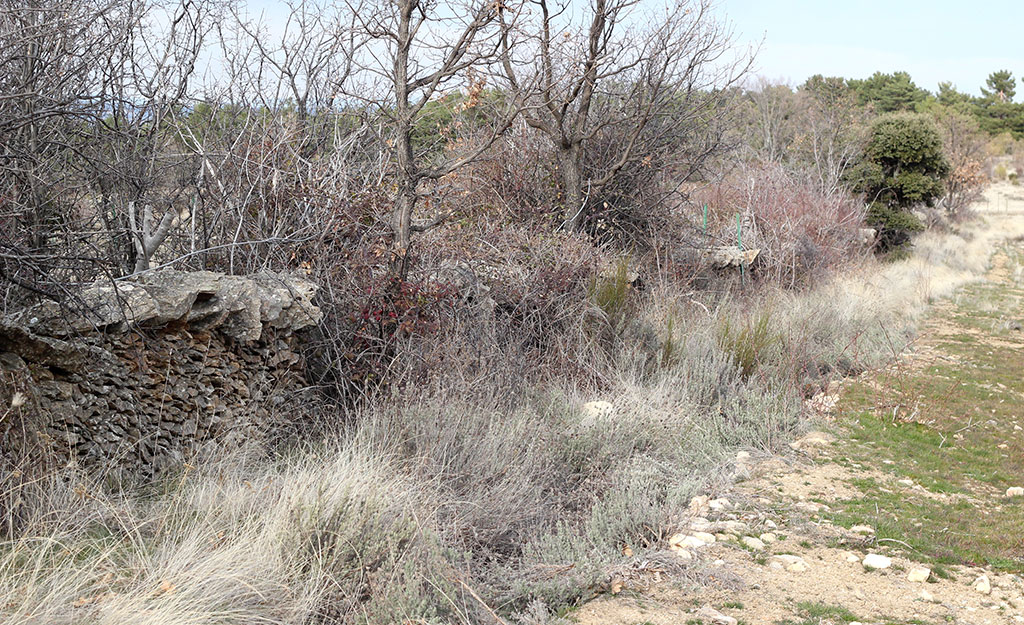 La pared de piedra en seco y la muerte de un territorio histórico (parte I)