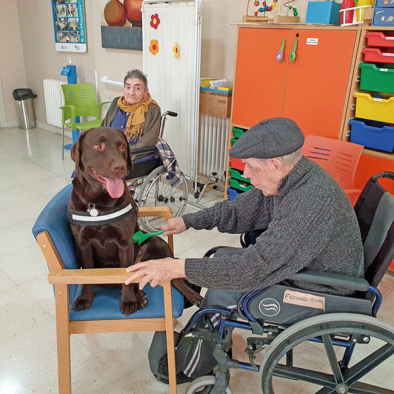 Terapia con perros en la residencia La Alameda de Nava de la Asunción